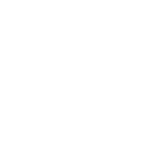 cctv (6)